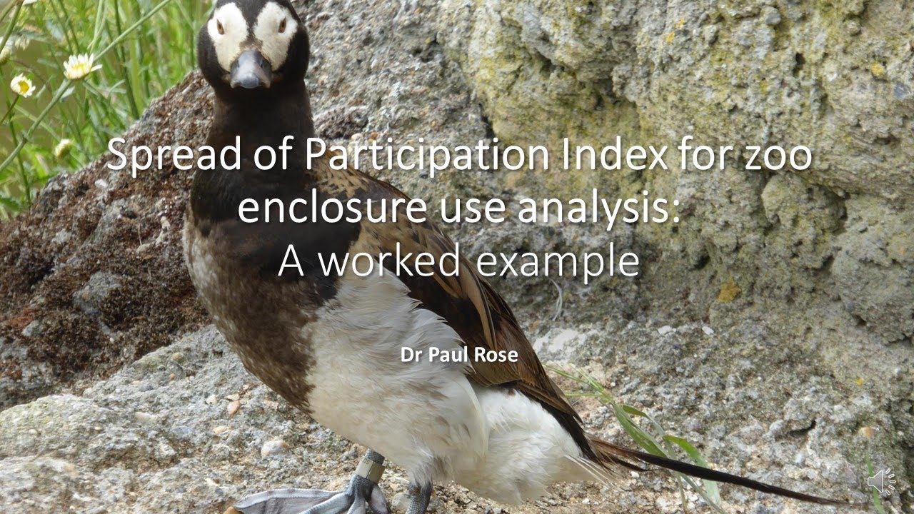 Spread of Participation Index: worked example for a zoo enclosure