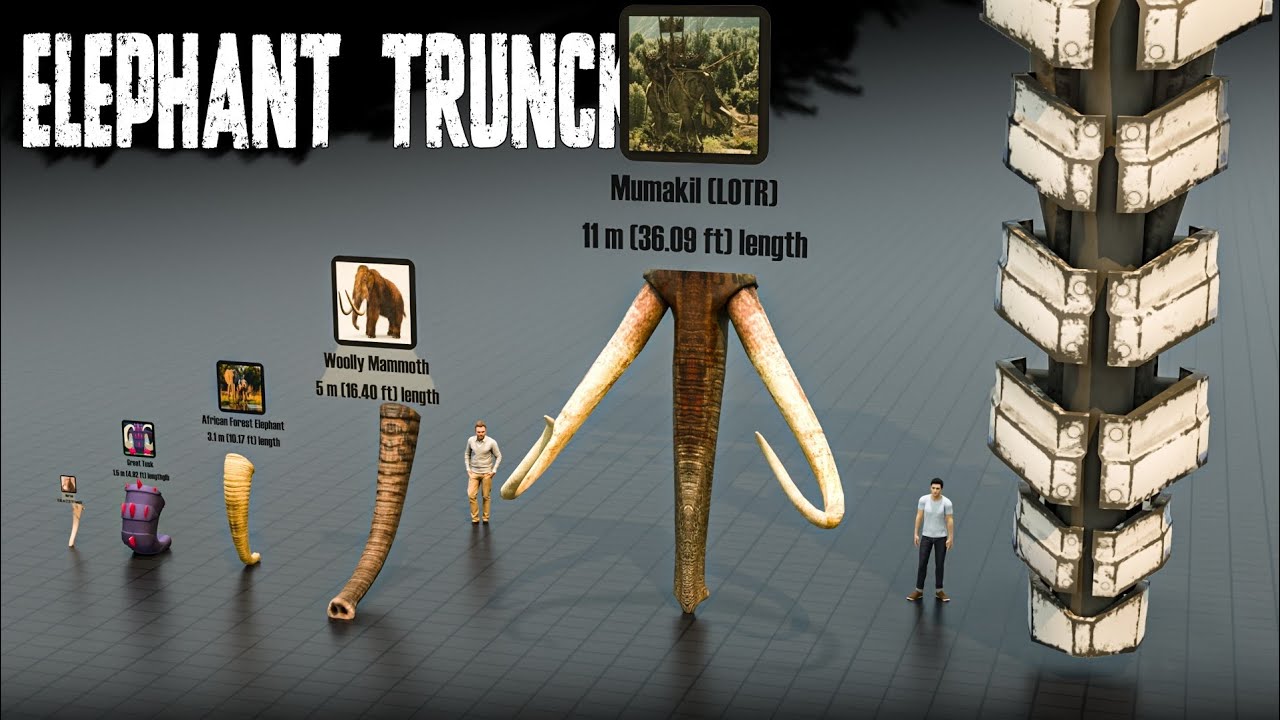 Elephant Trunk Size Comparison – Extinct, Living & Fictional