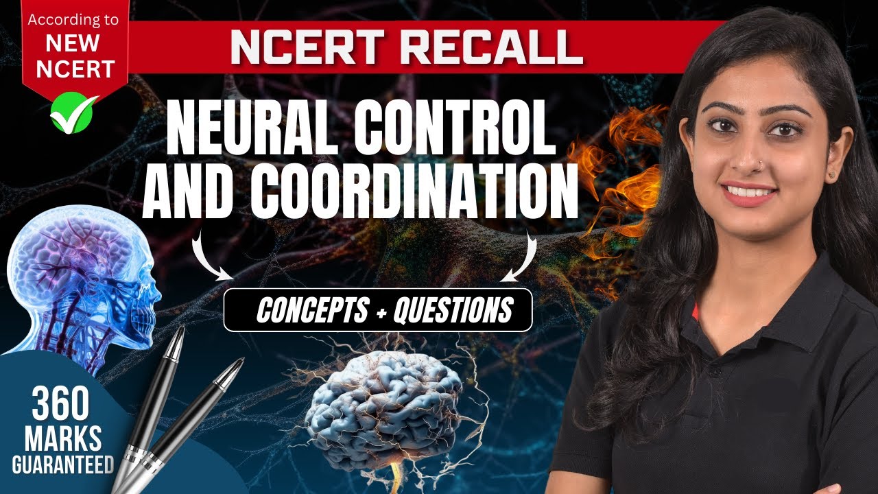 Neural Control and Coordination | Concepts + Questions | NCERT RECALL | NEET 2024