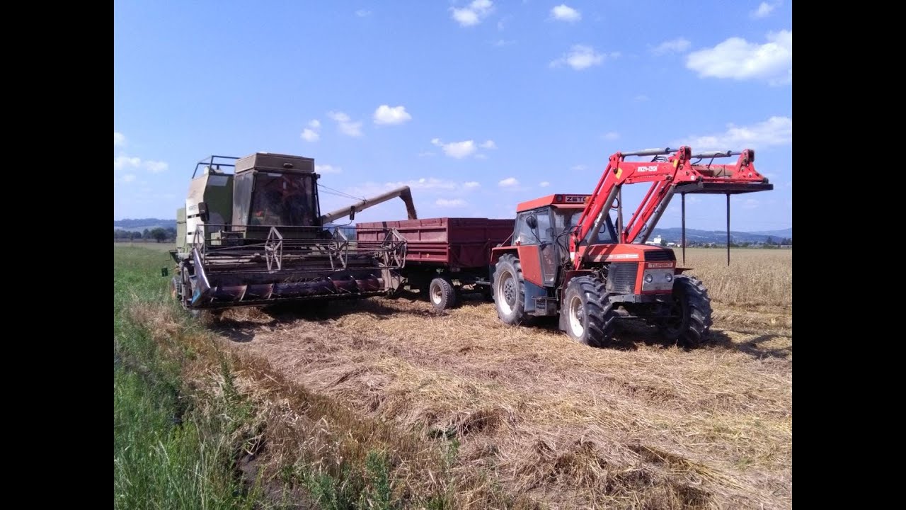 Žně 2020// Jarní Pšenice// Fortschritt E-514 MDW// Zetor 16145 + Vlek 9T// Zetor 6211 + Návěs NS 900