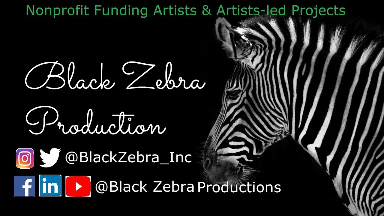 BLACKZEBRA.ORG | NONPROFIT FUNDING ARTISTS AROUND THE WORLD