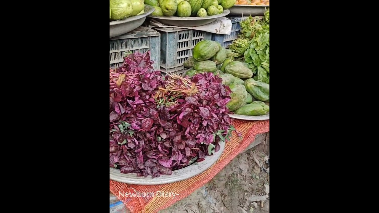 সকালে হাটতে বের হয়ে কুষ্টিয়া মেডিকেল কলেজ দেখে আসলাম।