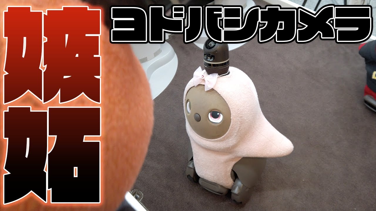【ラボット】秋葉原のヨドバシカメラにお出かけ！ラボットコーナーで触れ合いしてみた！