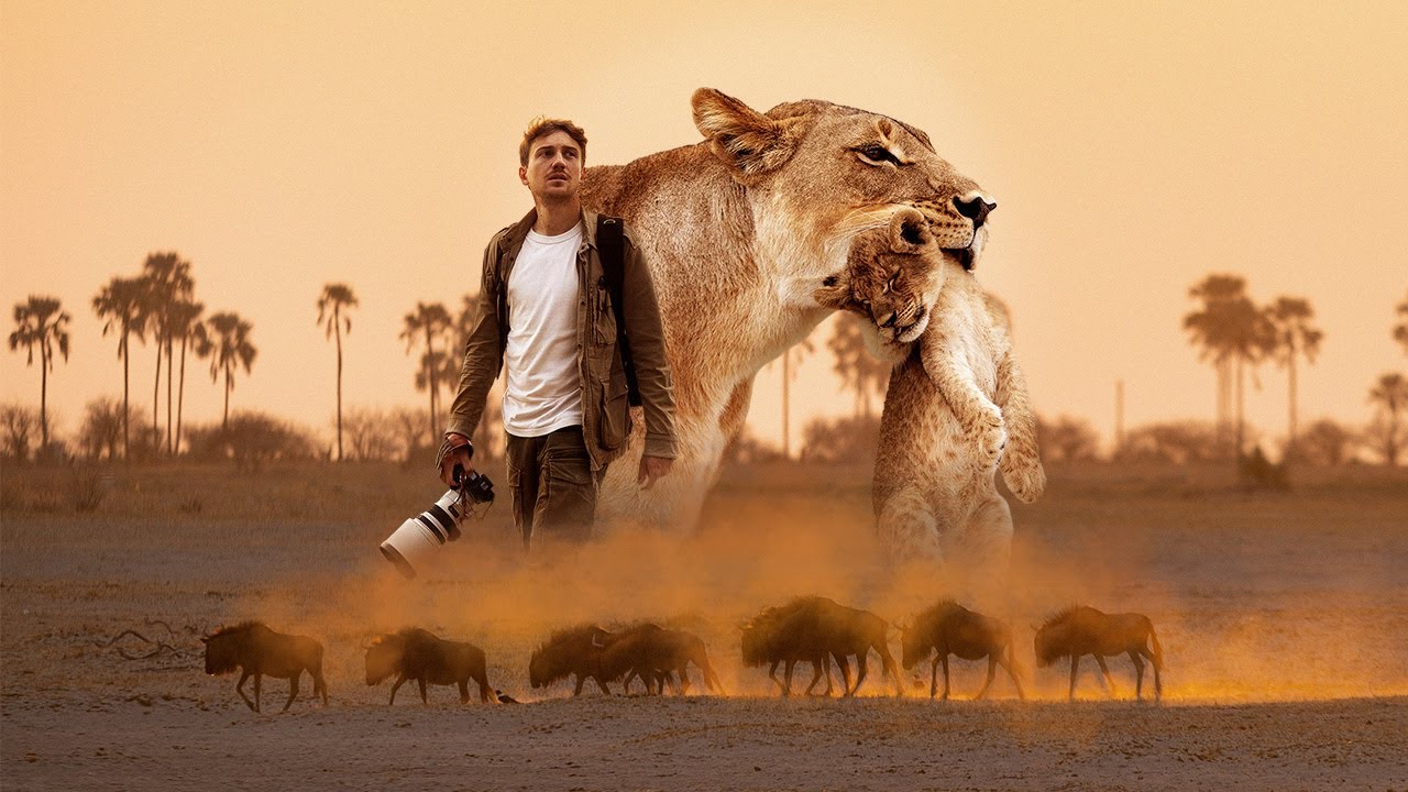 MON DERNIER CHAPITRE - Les lions du désert pour Orange & Wild