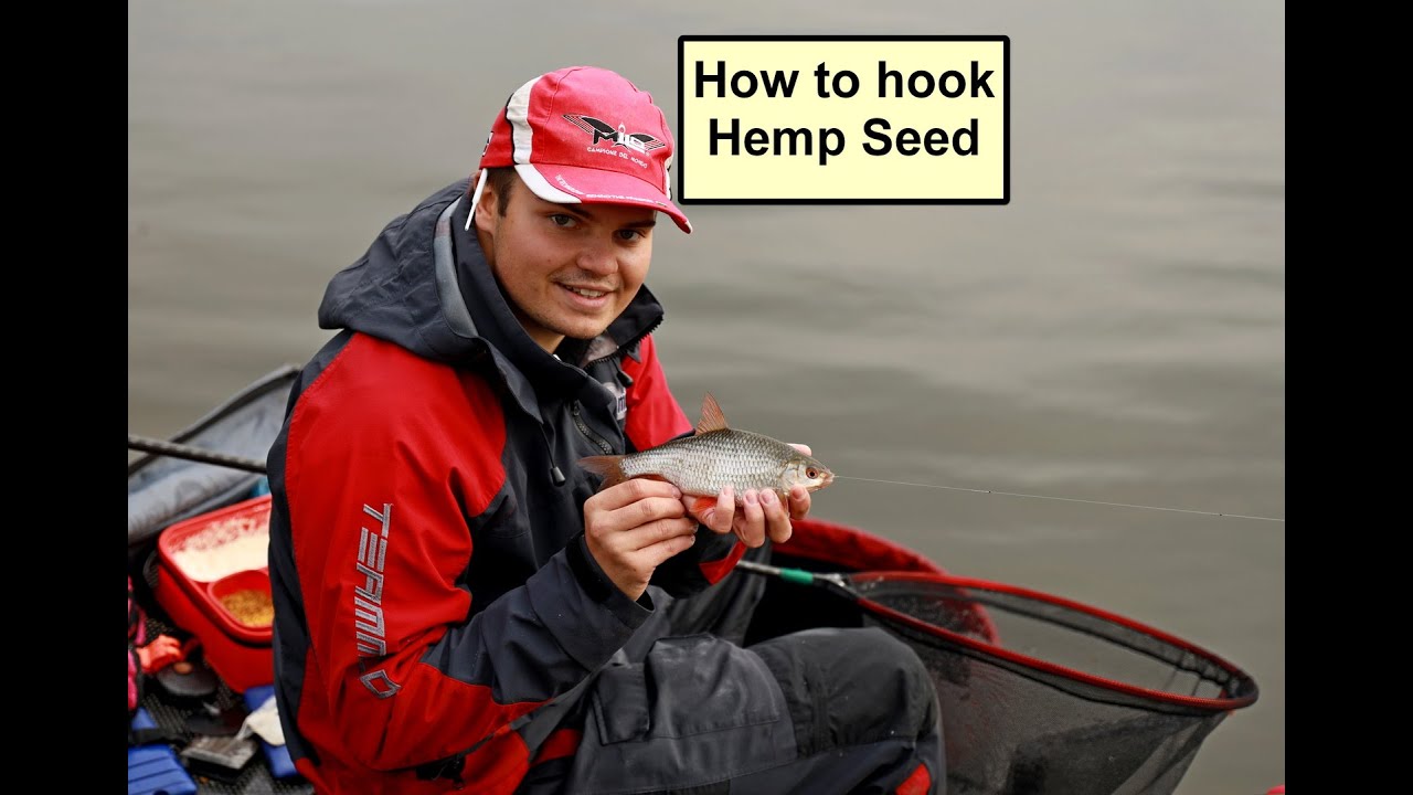 How to hook your hemp seed.