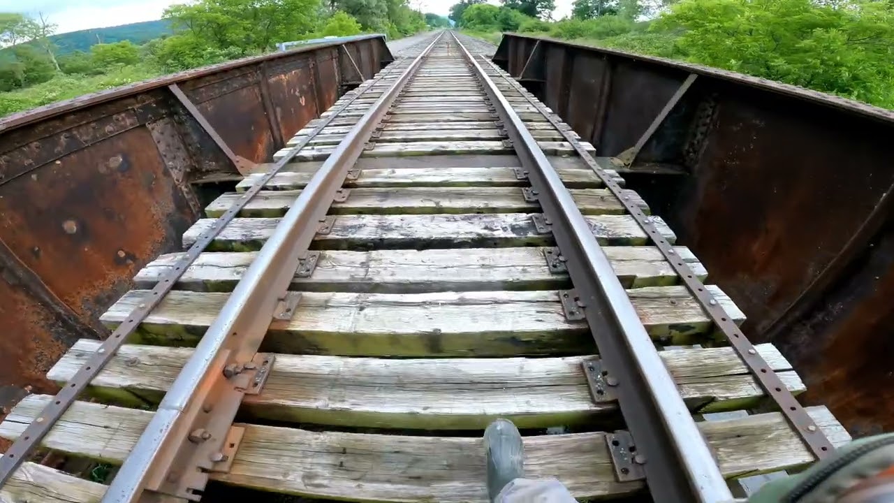 COHOCTON RIVER NY WILD BROWN TROUT FISHING ADVENTURE LATE JUNE 2025