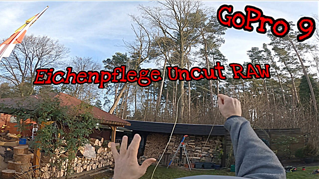 SRT Eichenpflege Uncut mit Gartenwulf Baumpflege | Seit 15 Jahren Unfall und Verletzungsfrei GoPro 9