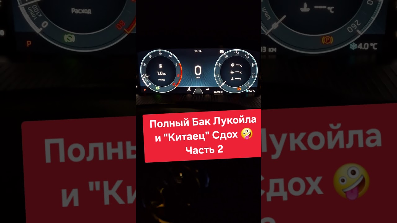 Skoda: Бак Луки и Китаец ☠️ Часть 2 (2025)