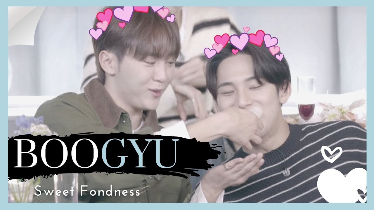 SEVENTEEN 세븐틴 BooGyu Moments 《Part 1》