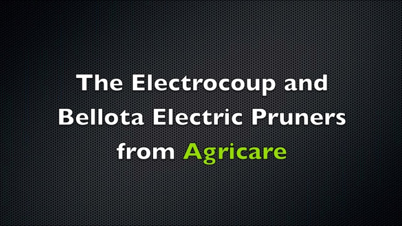 Electric Pruners from Agricare