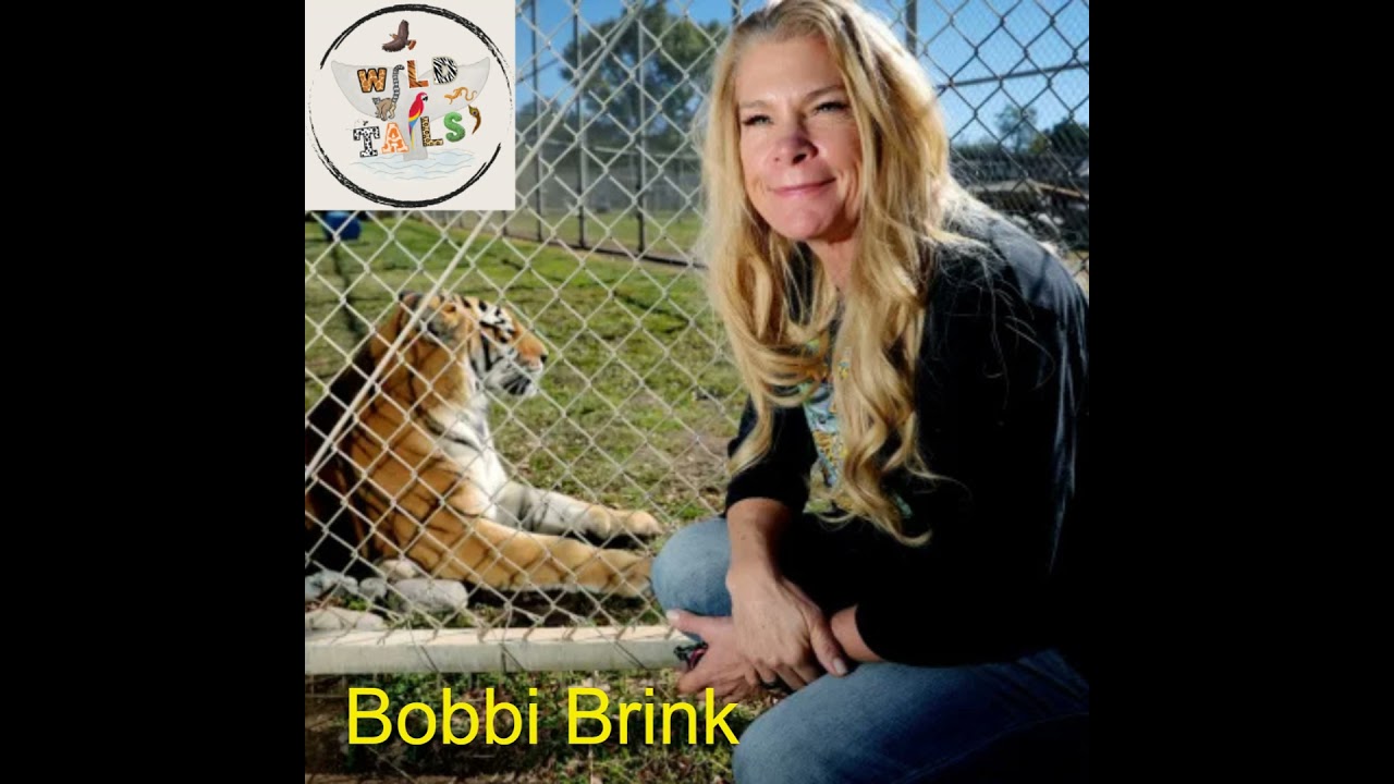 Episode 23: Lions, Tigers, and Bears with Bobbi Brink