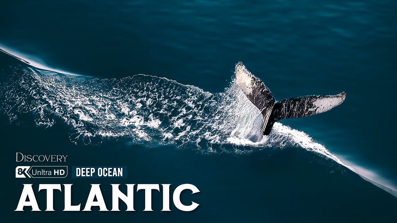 Atlantic Uncharted | The Hidden Truths Behind Earth&rsquo;s Most Mysterious Ocean