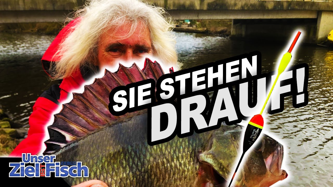 DICKBARSCH auf POSE ? BARSCHPARTY mit FUTTER und NATURKÖDER - Unser Ziel ist Fisch mit JÖRG OVENS