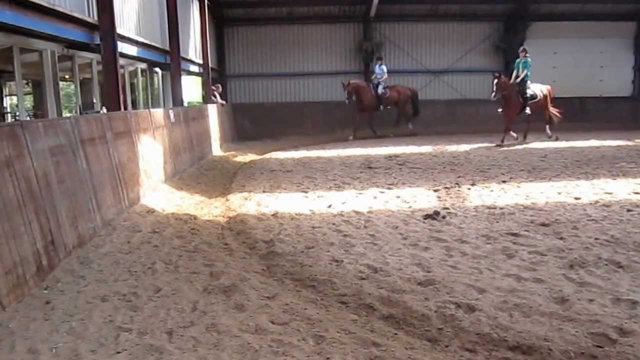 Meikamp 2012 manege van loon.