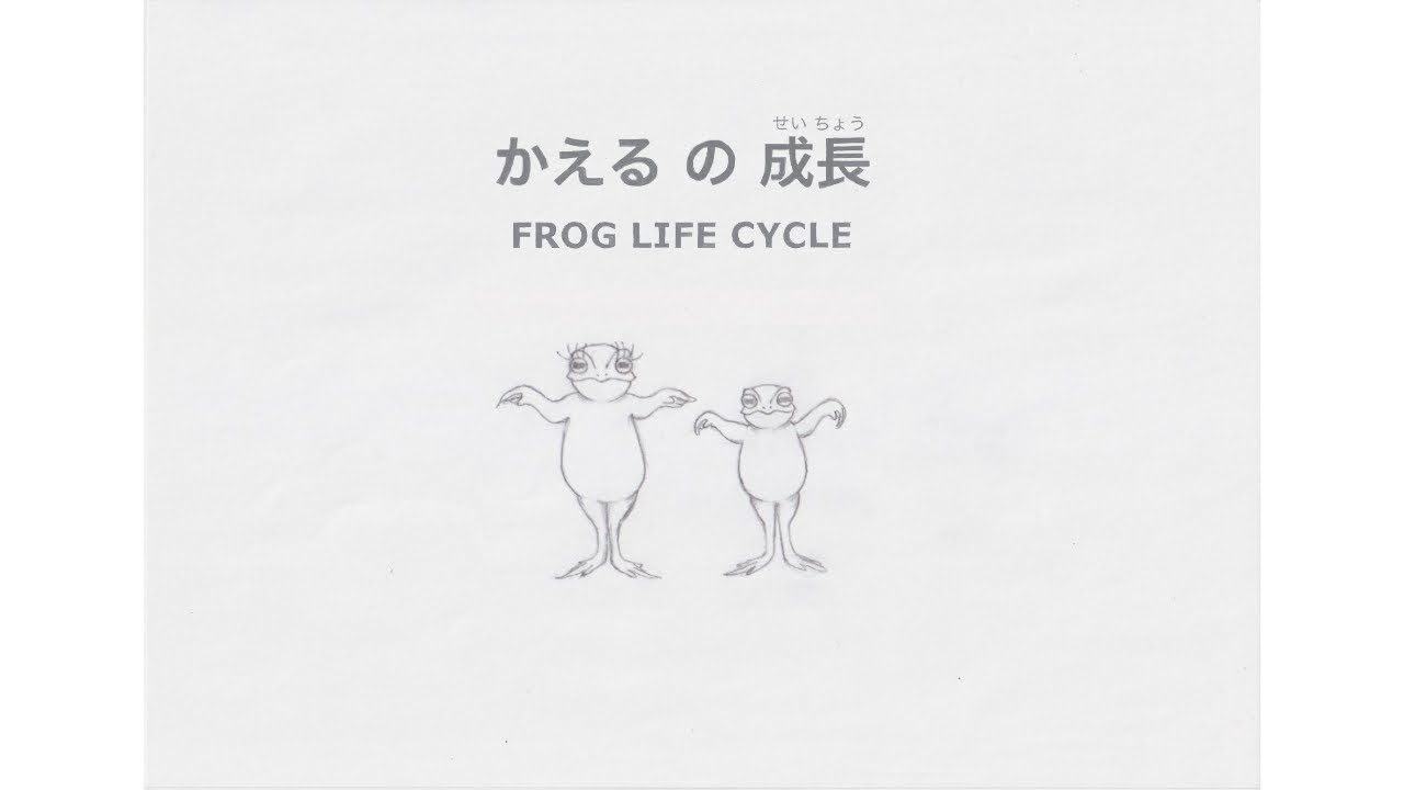 Frog Life Cycle - Pablo Escande - パブロ・エスカンデ