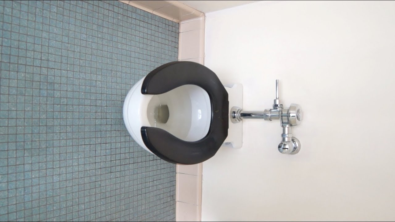 Toilets Flushing