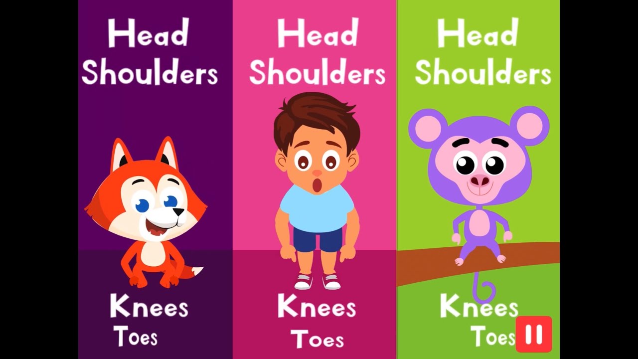 Kiddopia | Head Shoulders Knees and Toes