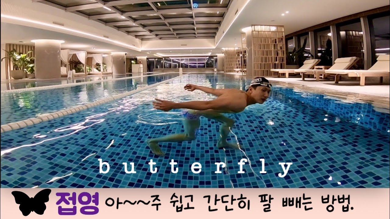 접영 팔 빼기 어려우신가요? 쉽게 나오는 팁!!! butterfly
