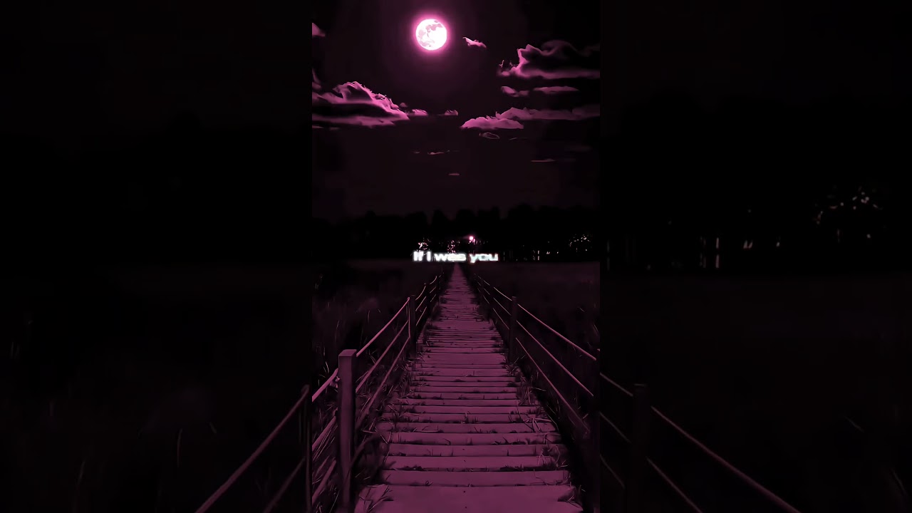 The Weeknd - Timeless (Lyrics)