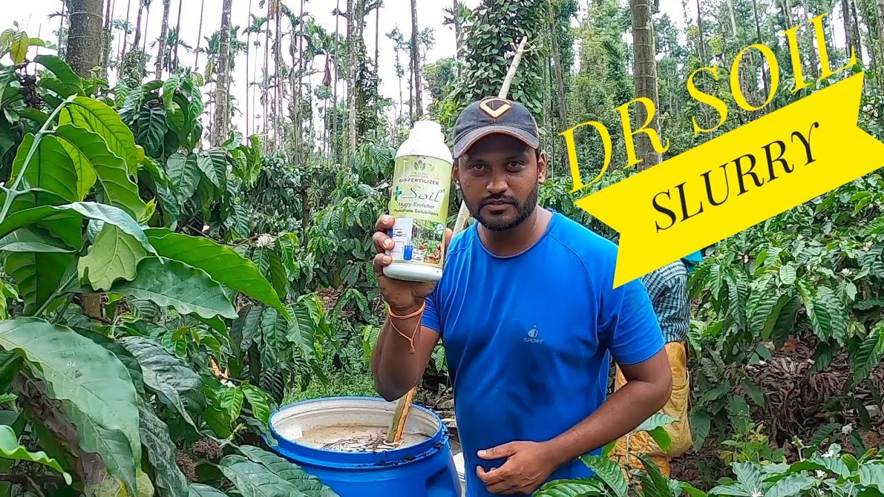 SLURRY ENRICHER PREPARATION AND USED FOR ARECANUT#DRSOIL@microbiagrotech @karthikpg9143