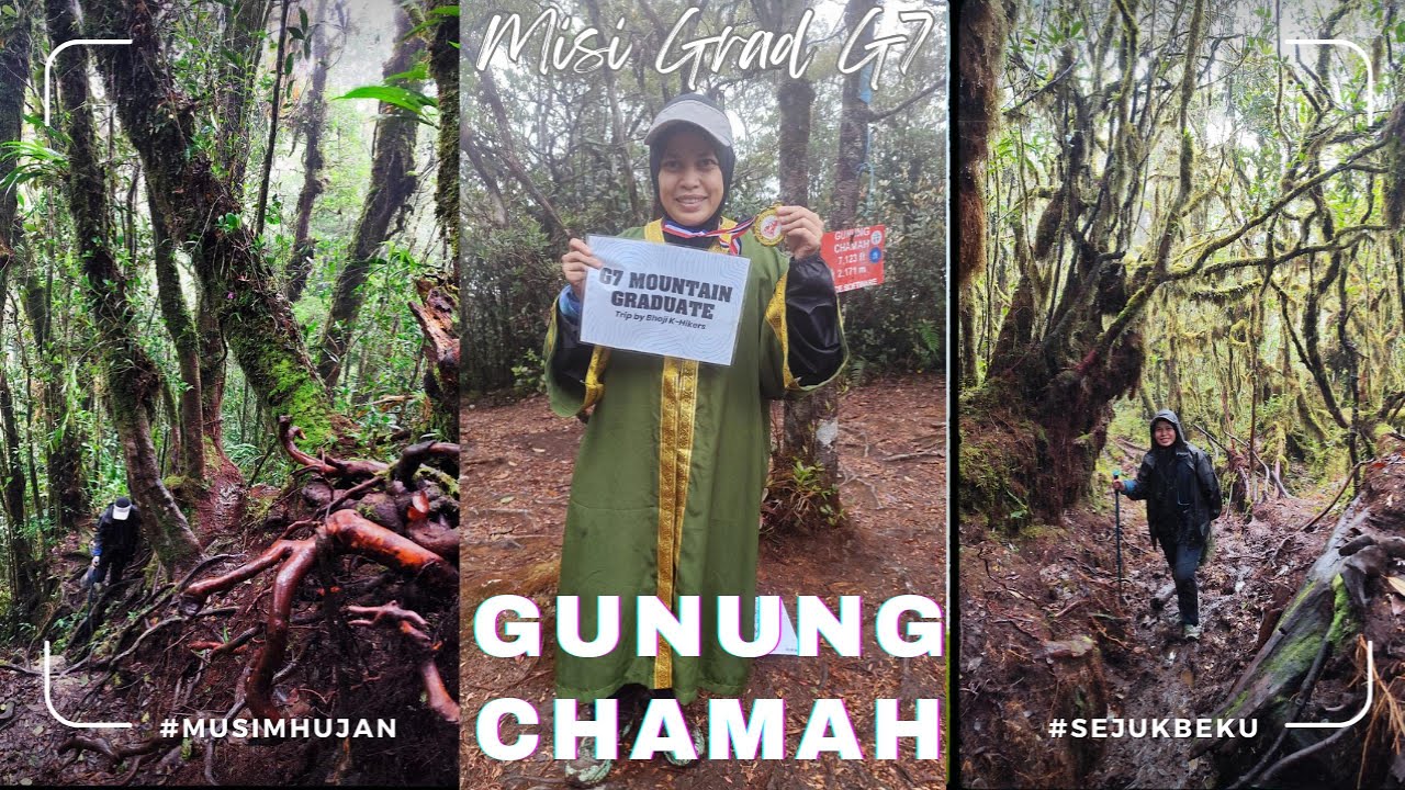 Hiking| Gunung Chamah Single. Pengalaman grad G7 di puncak Chamah
