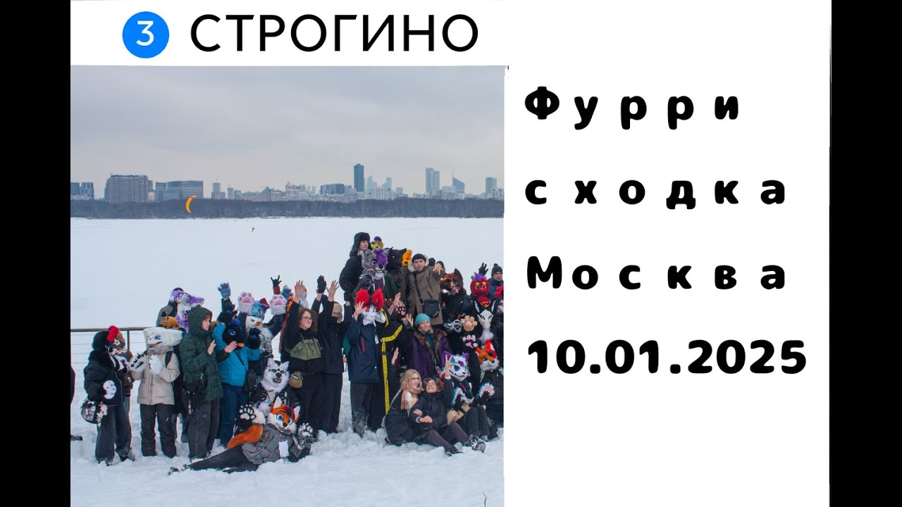 Фурри сходка в Строгино 10.01.2025