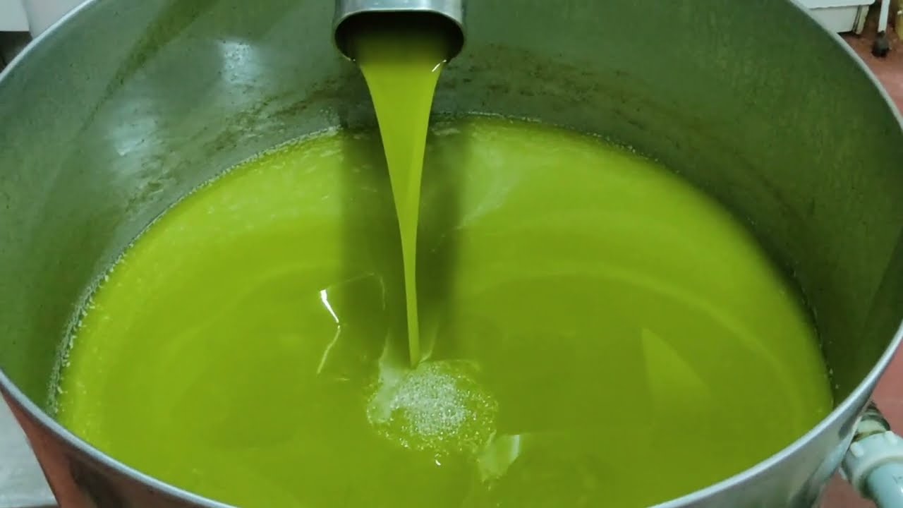 RACCOLTA  OLIVE ESTRAZIONE  OLIO MUSEO - STORIA CALTABELLOTTA ~ SICILIA.
