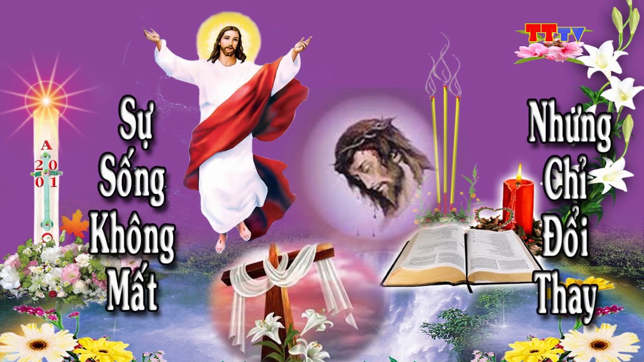 SỰ SỐNG THAY Đổi MÀ KHÔNG MẤT ĐI  (Mai Hậu)