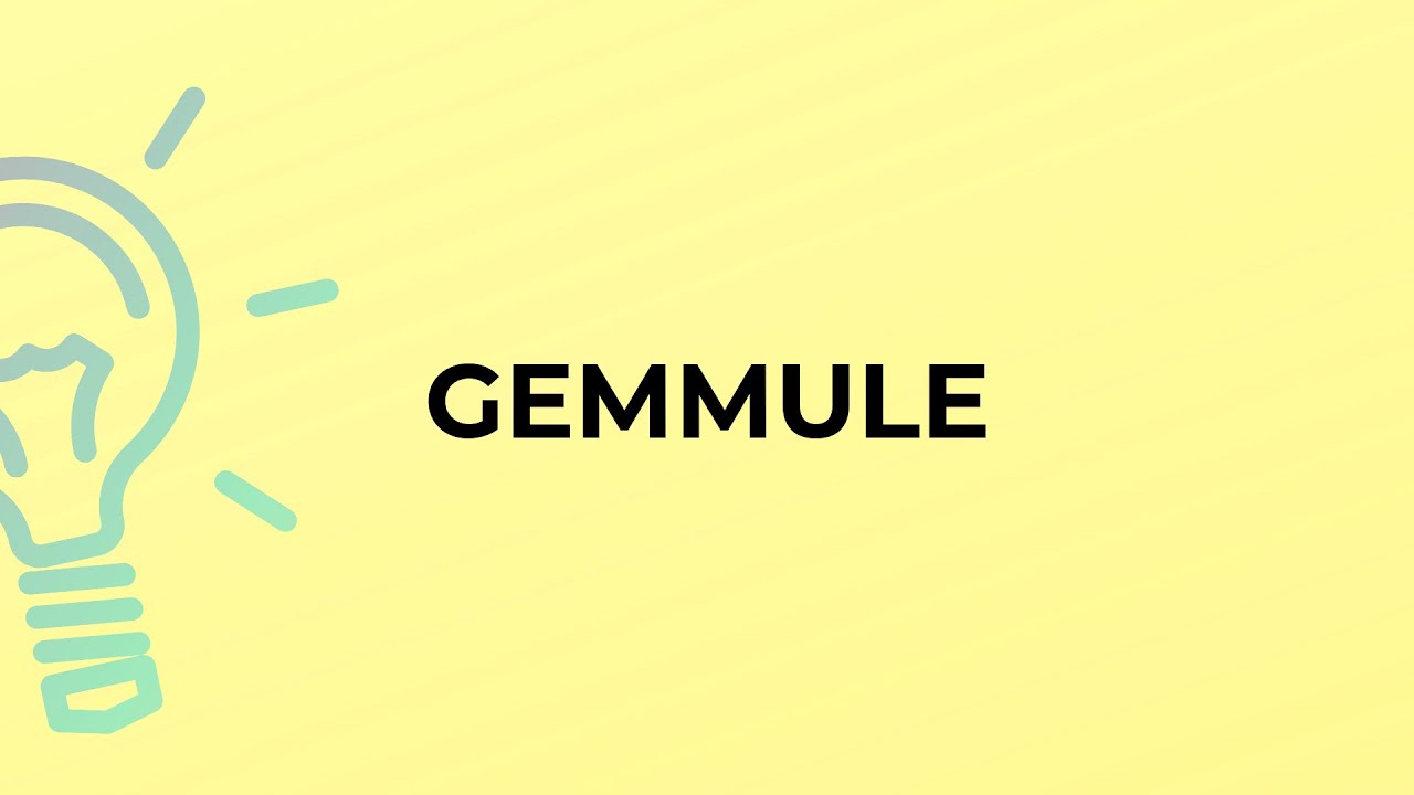What is the meaning of the word GEMMULE?
