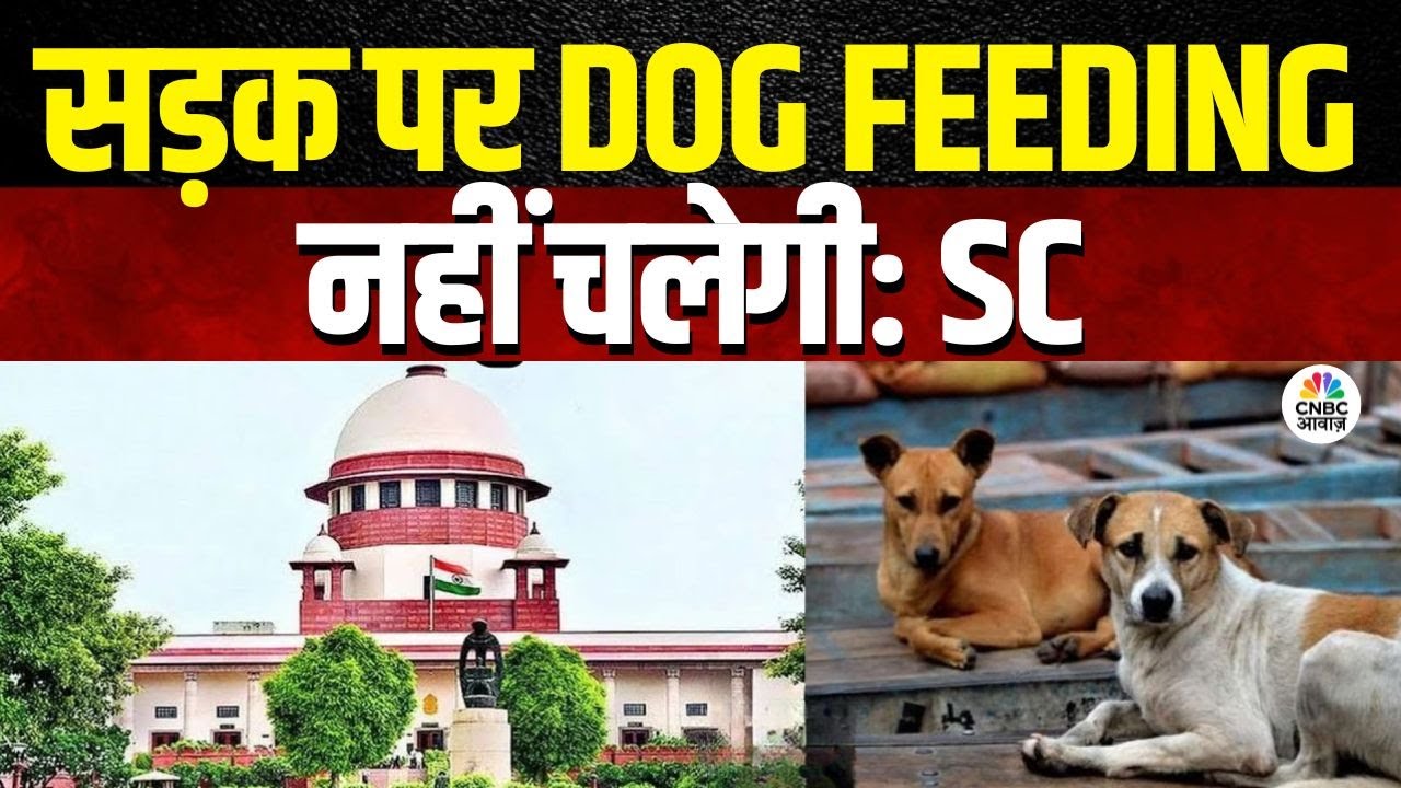 Supreme Court On Stray Dogs | कुत्तों को घर में खिलाओ, सड़कों पर नहीं: सुप्रीम कोर्ट! |Consumer Adda