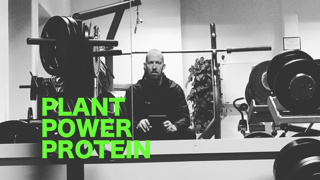 Vegansk protein efter træning | #LIFEHACK365 | DAG 8