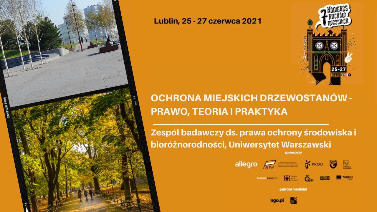 Jak CHRONIĆ DRZEWA w MIEŚCIE:  prawo, teoria i praktyka.
