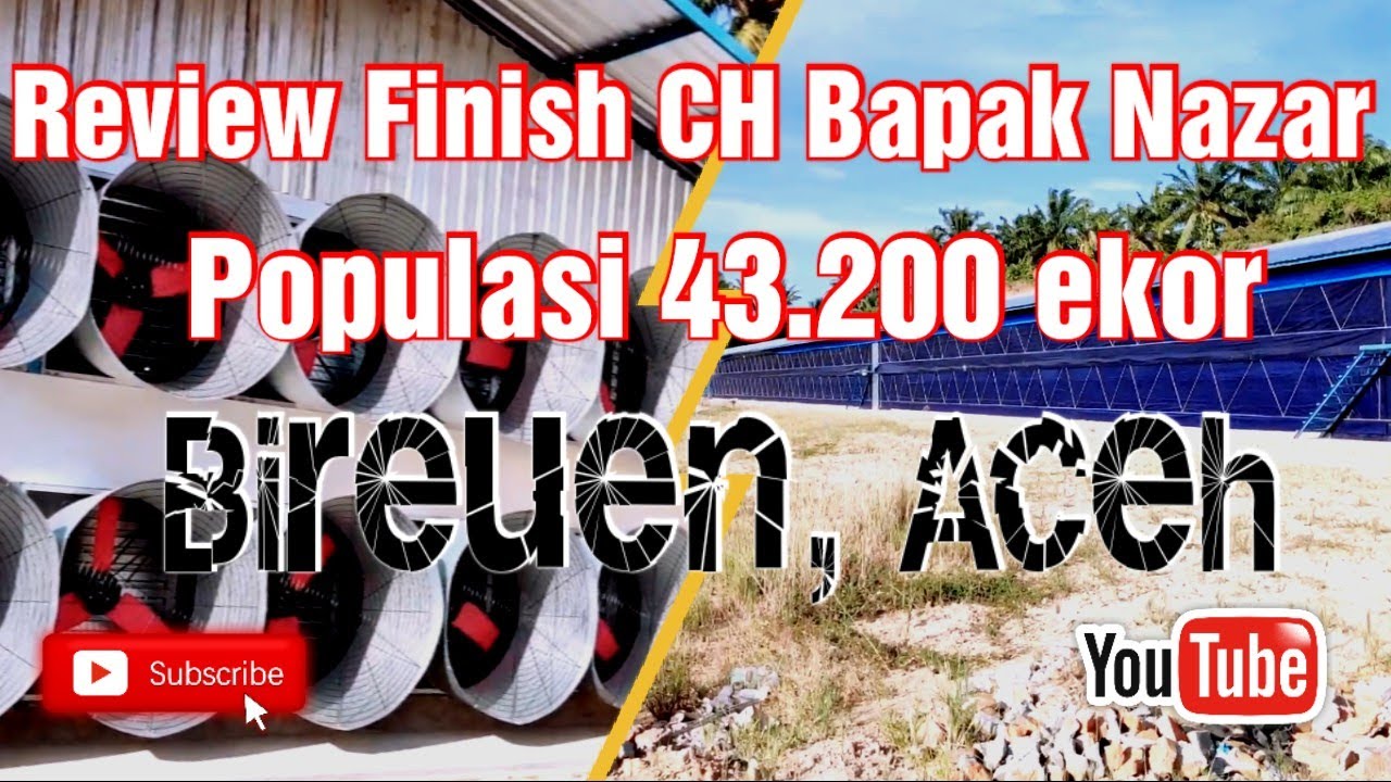 Review 100% CH Bapak Nazar Bireuen 12X120 2 lantai (edisi telat upload)