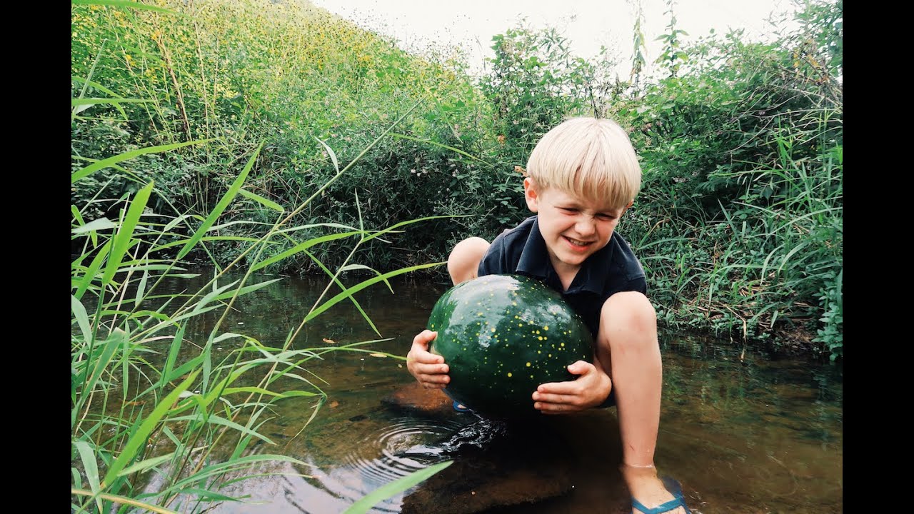Eating Watermelon - Out Of The Creek!