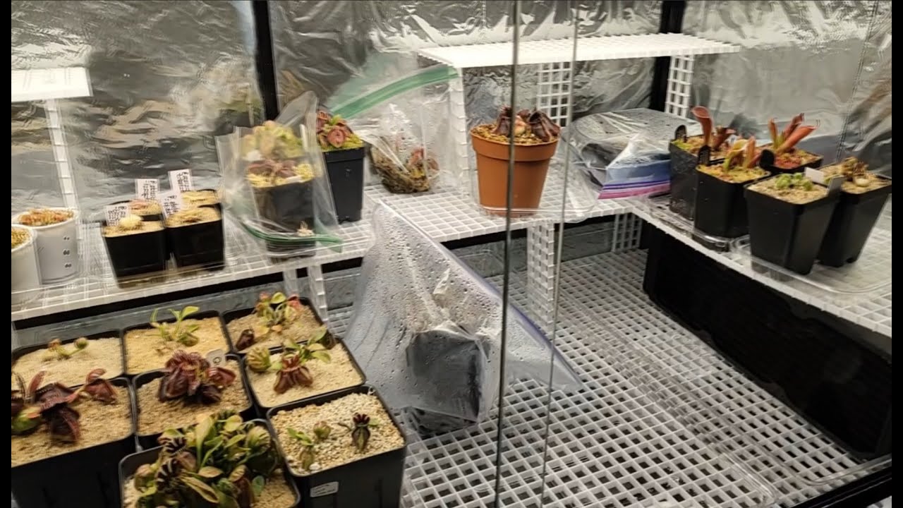 Highland Terrarium Build for Carnivorous Plants Part 3 - Cooling loop test