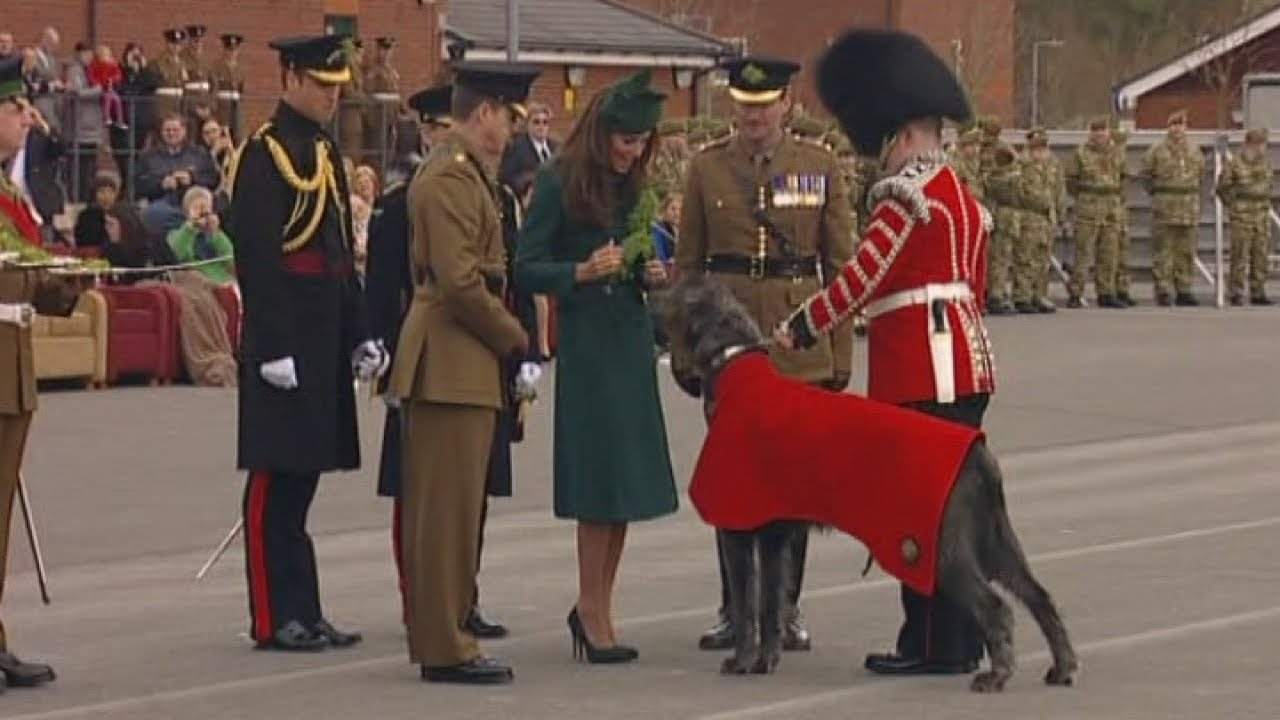 Kate presents shamrocks to troops and army dog on St Patrick's Day