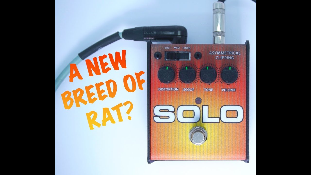 SOLO RAT | NOT YOUR REGULAR RAT | #ratdistortion