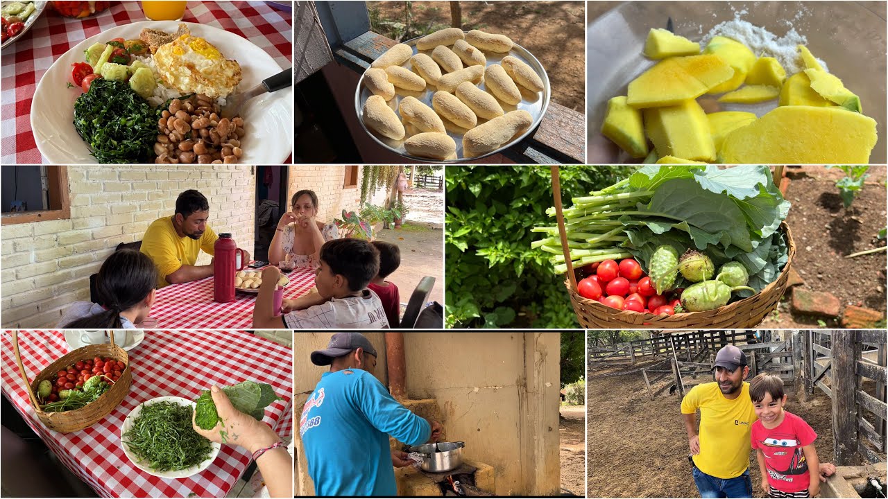 FRANGUINHO NA PANELA E MUITA SIMPLICIDADE /DIA PRODUTIVO AQUI NA ROÇA ♥️🪵🥬