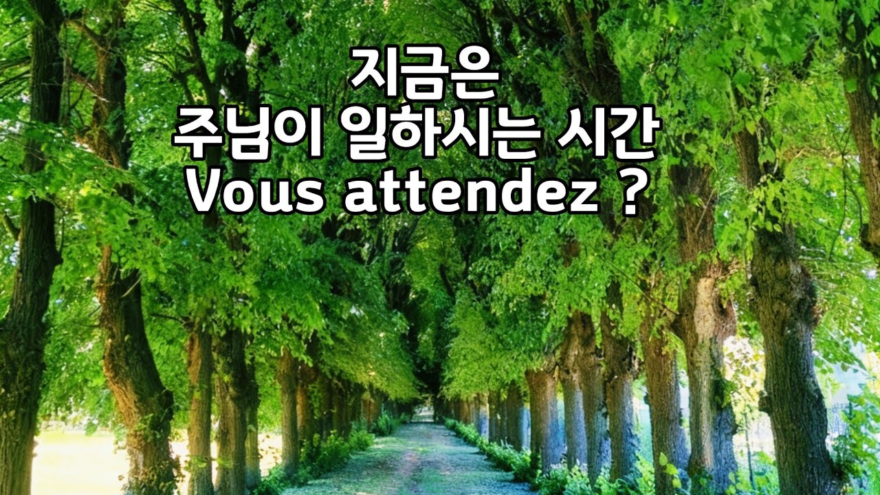 주가 일하시네:Je ne fais confiance qu'au Seigneur. #프랑스길거리찬양 #France #주가일하시네#믿음의결