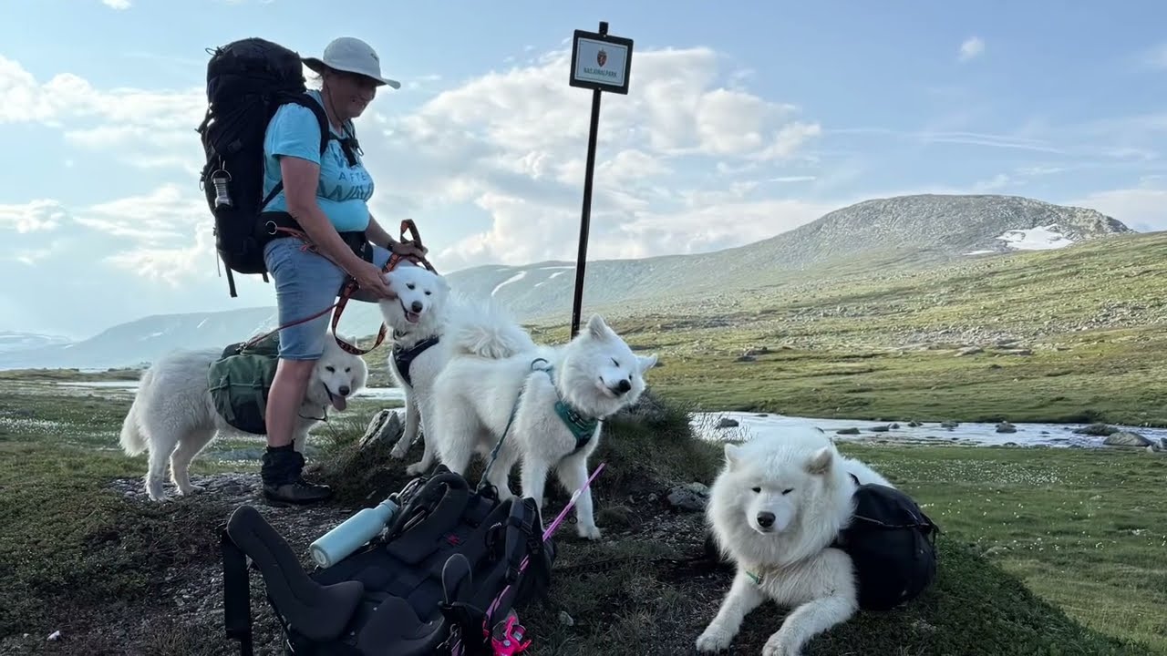 Børgefjell 2025