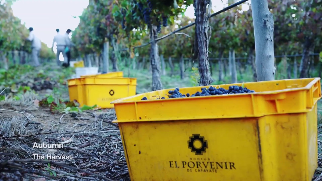 Bodega El Porvenir Institucional