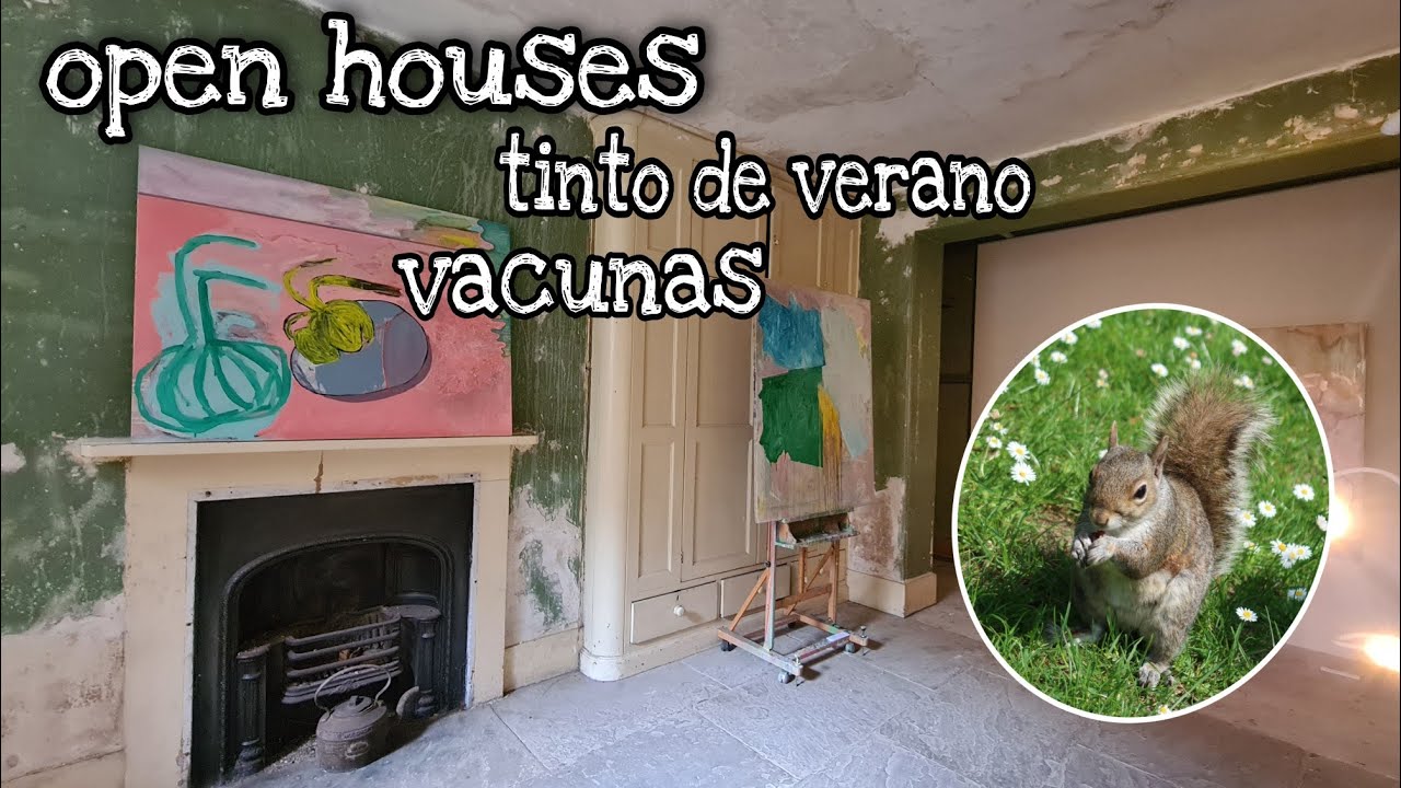 Casas (por dentro!), ardillas, tinto de verano - Juli Sparkling Vlogs