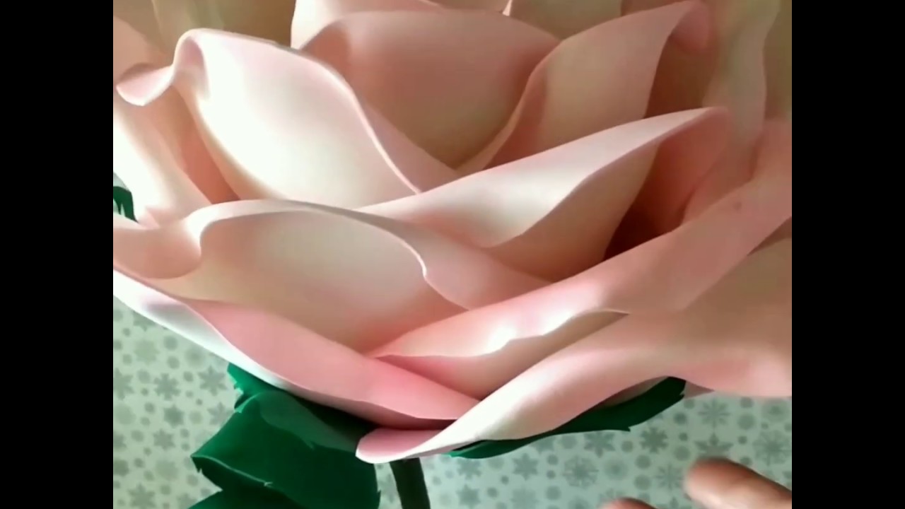 Rosa Grande de e.v.a  