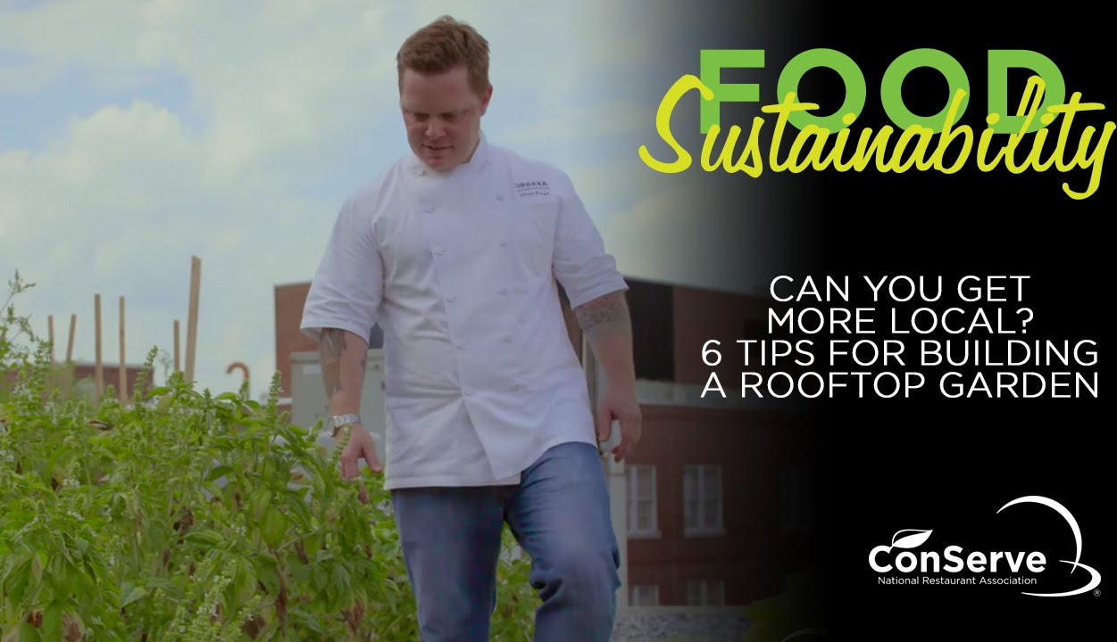 Can you get more local? 6 tips for building a rooftop garden