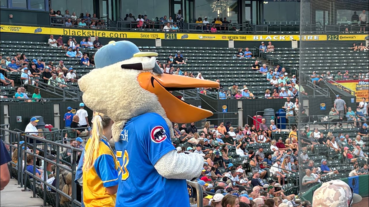 Wrigley at the Beach! - Myrtle Beach Pelicans Ballpark Review 