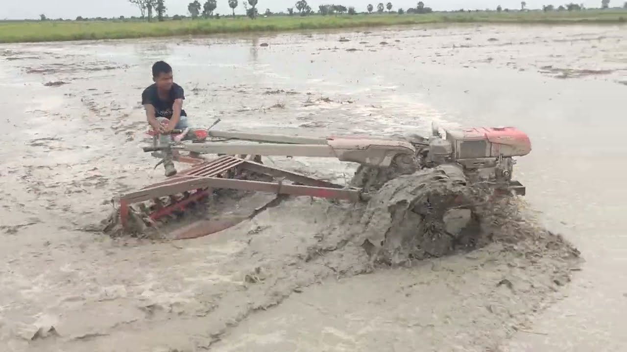 Plowing a Rice Field with a Walking Tractor | Traditional Farming in Action
