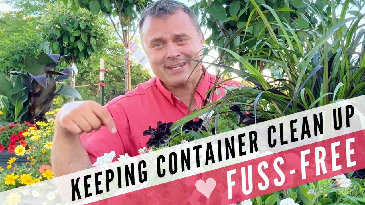 My Casual Approach to Container Maintenance