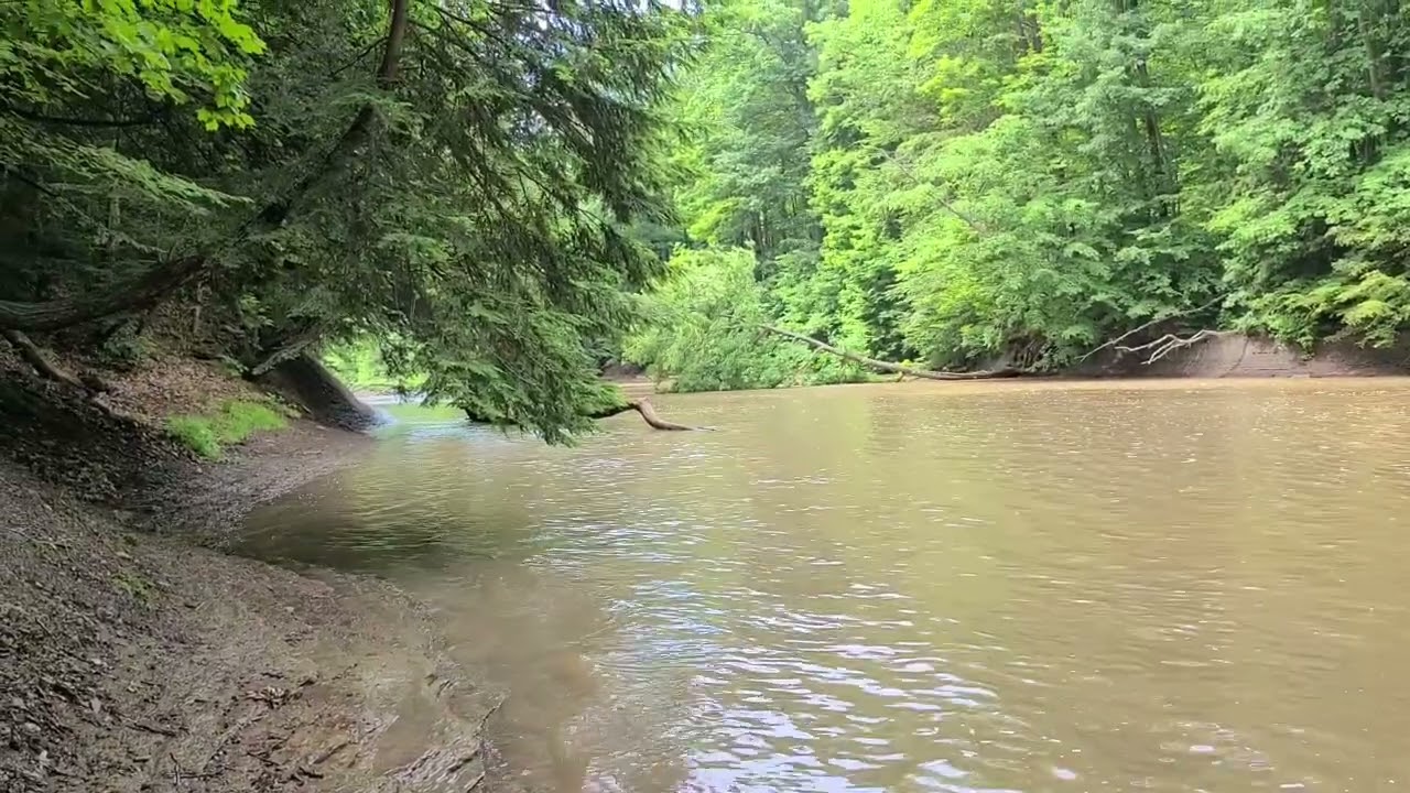 NE Ohio Hog back ridge waterfall