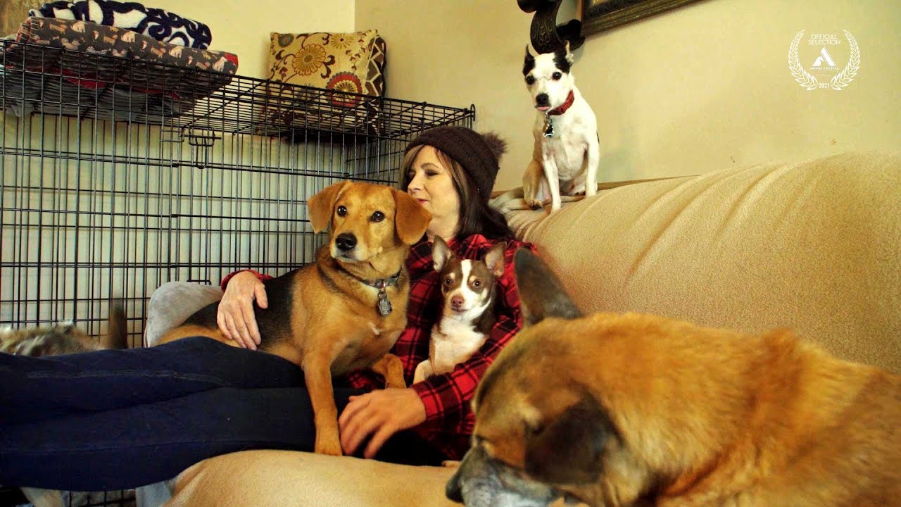 Who Rescues the Rescuers?  Animalis Fabula Film Festival Presents Rescues Official Trailer