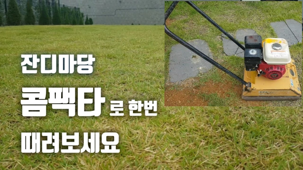 34.콤팩타 (콤팩터)를 이용한 잔디마당 평탄작업 (잔디 레벨링), 콤팩타 사용방법  - 사용기 -